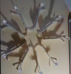 circletop.jpg circletop.jpg