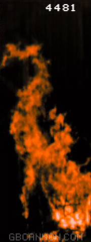 frame 231
