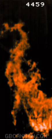 frame 253
