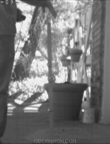 frame 459 frame 459