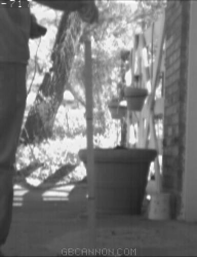 frame 637 frame 637