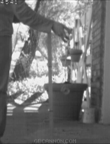 frame 113 frame 113
