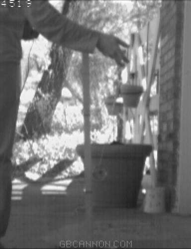 frame 135 frame 135