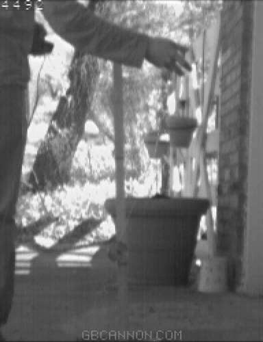 frame 162 frame 162