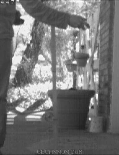 frame 177 frame 177