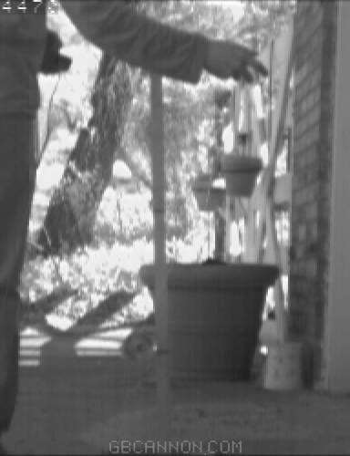 frame 184 frame 184