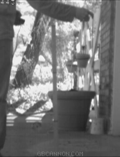 frame 223 frame 223