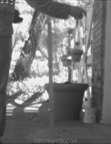 frame 229 frame 229