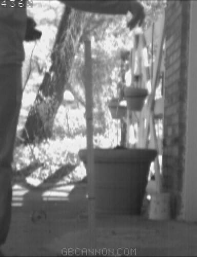 frame 294 frame 294