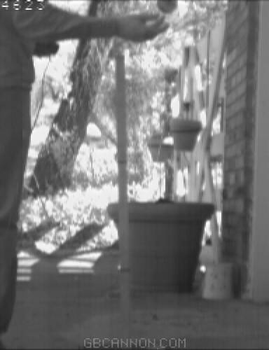 frame 31 frame 31
