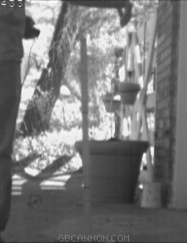 frame 317 frame 317
