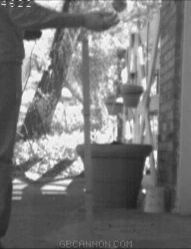 frame 32 frame 32