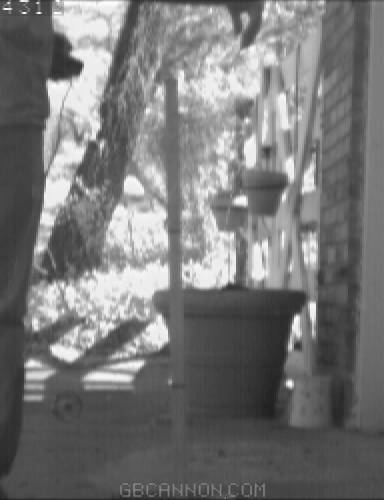 frame 342 frame 342