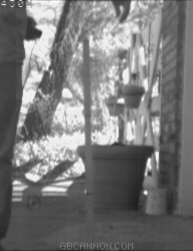 frame 352 frame 352