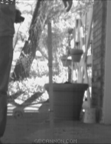 frame 379 frame 379