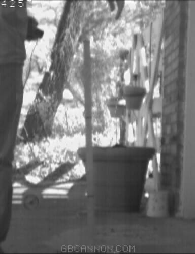 frame 397 frame 397