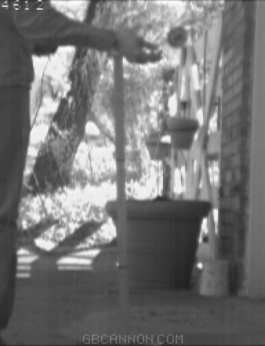 frame 42 frame 42