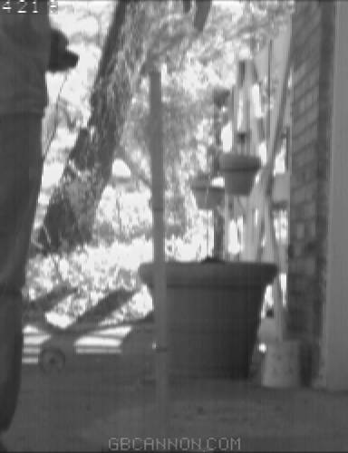 frame 435 frame 435