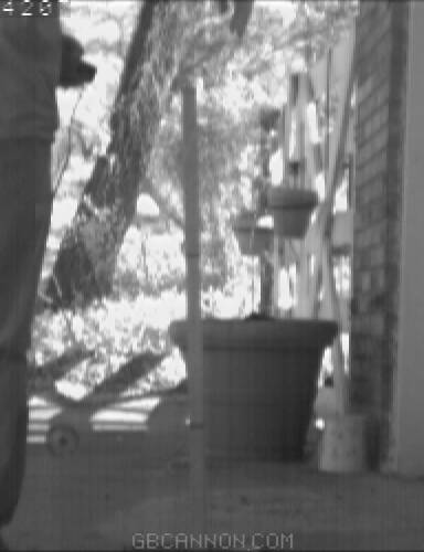 frame 447 frame 447