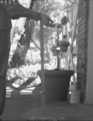 frame 49 frame 49