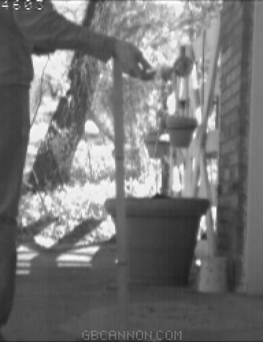 frame 51 frame 51