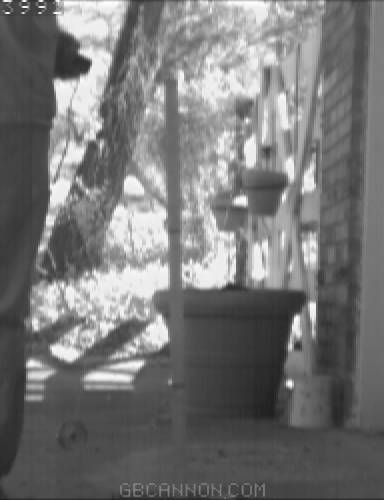 frame 662 frame 662