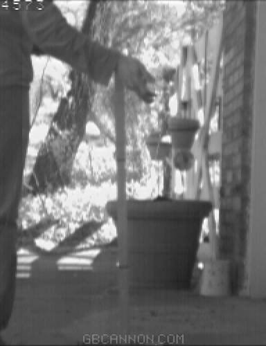 frame 81 frame 81